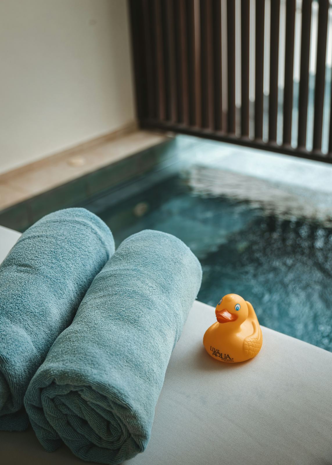 Hotel Pool Towel