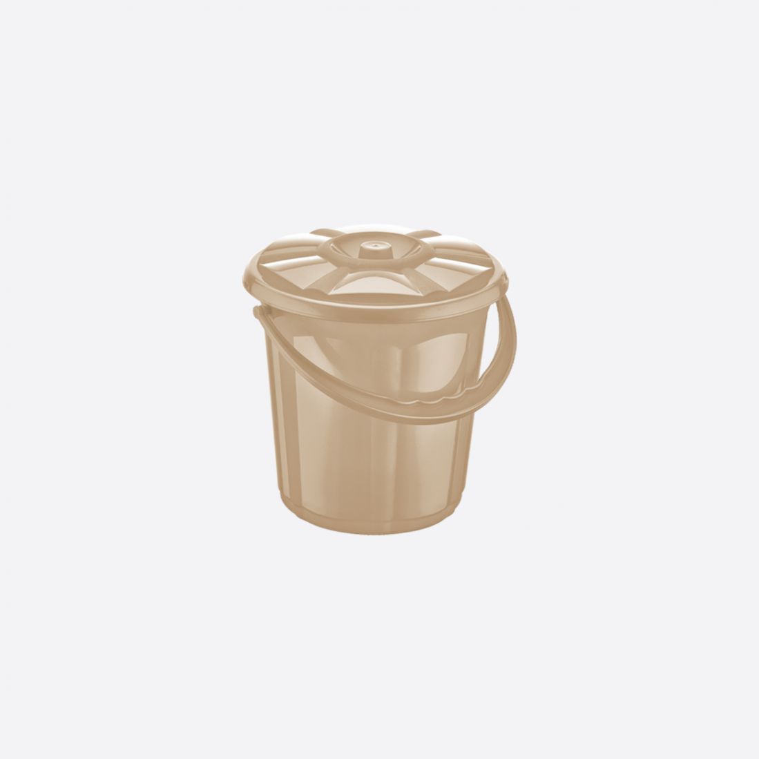 Housekeeping Bucket and Dustpan